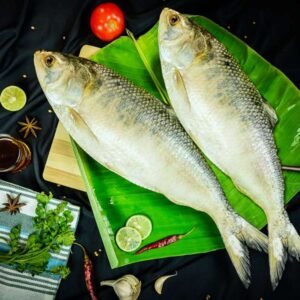 Premium Eelish Fish