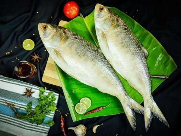Premium Eelish Fish