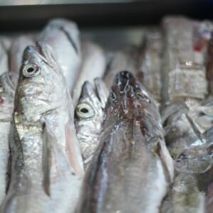 seafood, fish, market, frozen, gray fish, nature, gray fishing, gray market